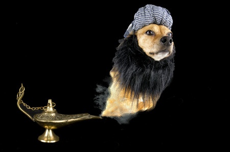 Genie lamp with dog dressed as a genie appearing