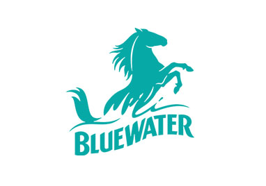 Bluewater Case Study